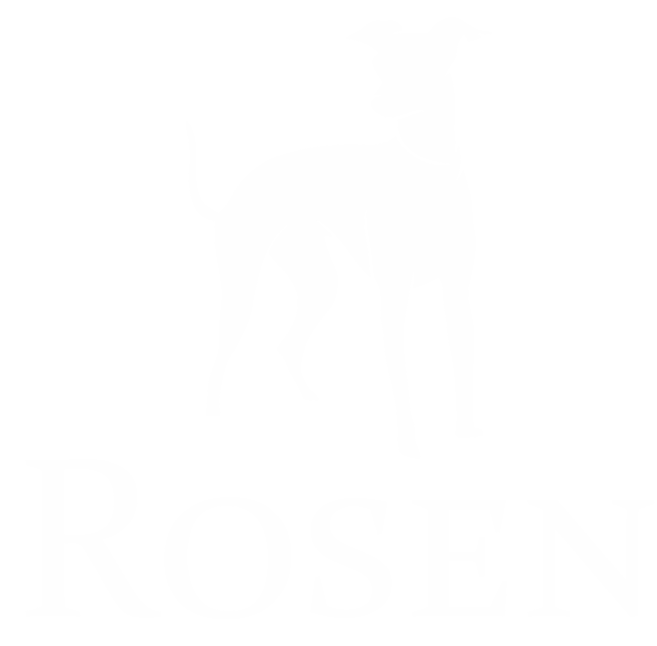 Rosen Insurance white logo